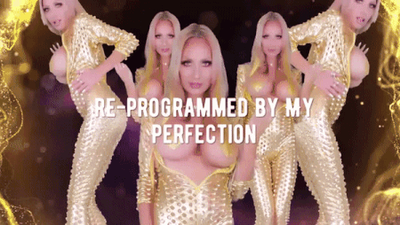 Re-Programmed by My Perfection